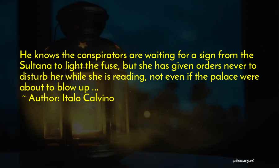 Do Not Disturb Sign Quotes By Italo Calvino