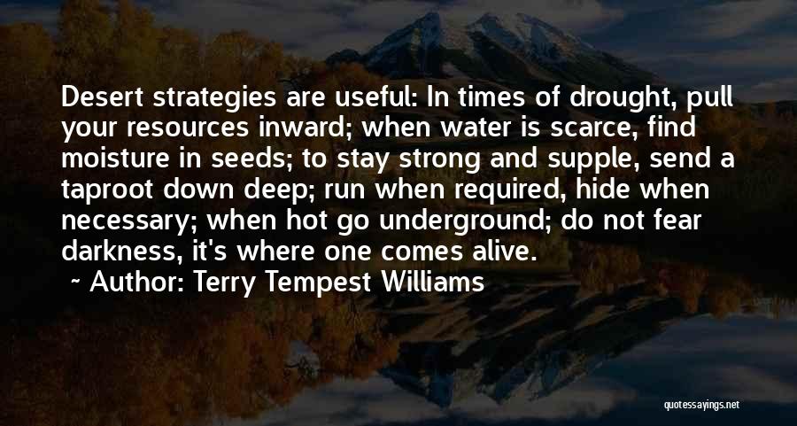 Do Not Fear Darkness Quotes By Terry Tempest Williams