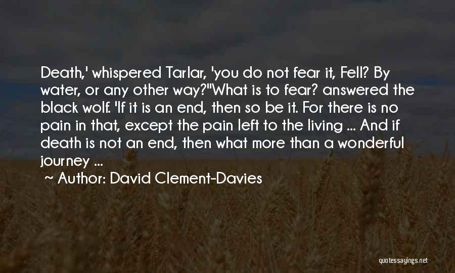 Do Not Fear Death Quotes By David Clement-Davies