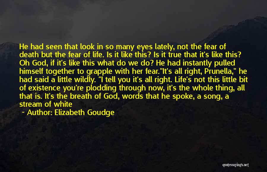 Do Not Fear Death Quotes By Elizabeth Goudge