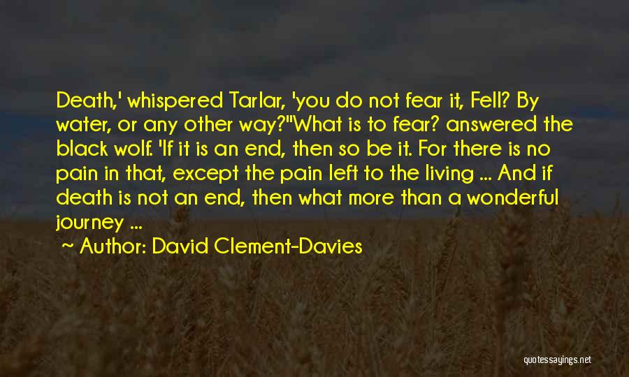 Do Not Fear Pain Quotes By David Clement-Davies