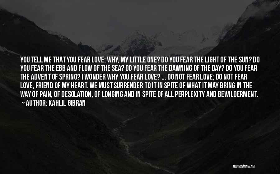 Do Not Fear Pain Quotes By Kahlil Gibran