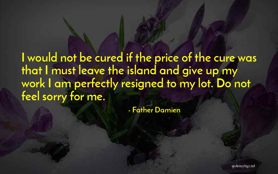 Do Not Feel Sorry Quotes By Father Damien Do Not Feel Sorry Quotes By Father Damien