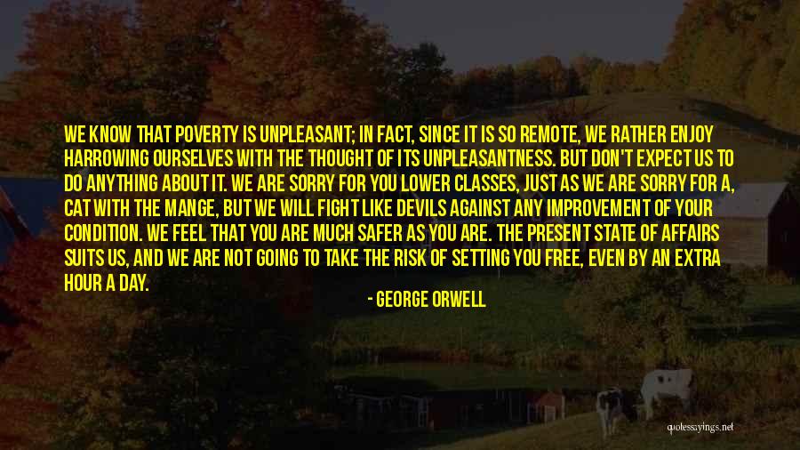 Do Not Feel Sorry Quotes By George Orwell Do Not Feel Sorry Quotes By George Orwell
