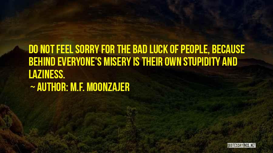Do Not Feel Sorry Quotes By M.F. Moonzajer