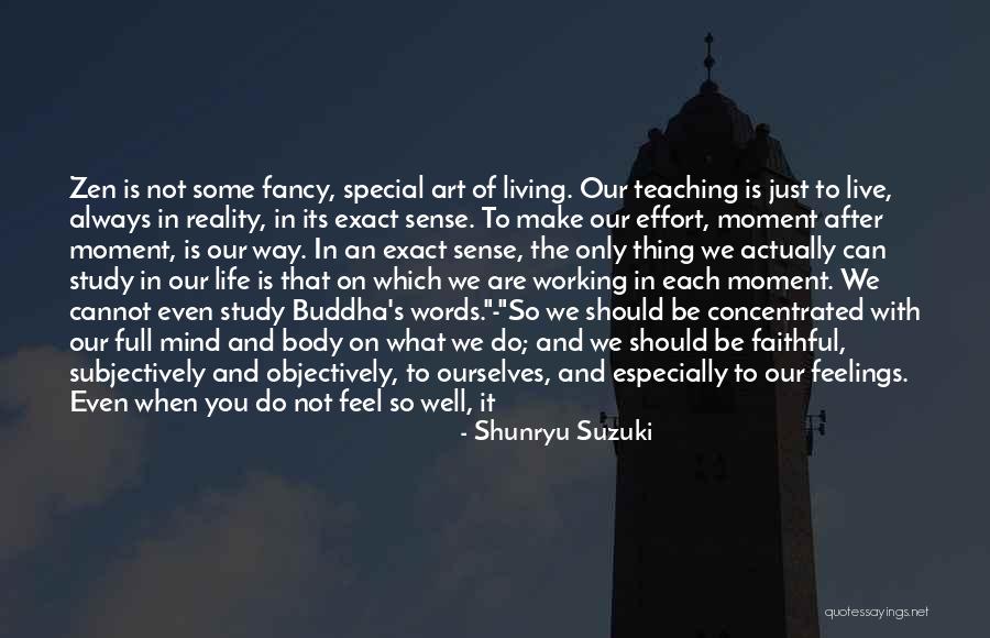 Do Not Feel Sorry Quotes By Shunryu Suzuki Do Not Feel Sorry Quotes By Shunryu Suzuki