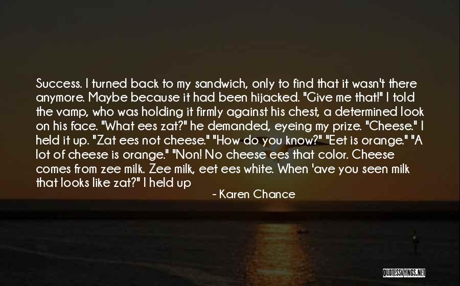 Do Not Give Up On Me Quotes By Karen Chance