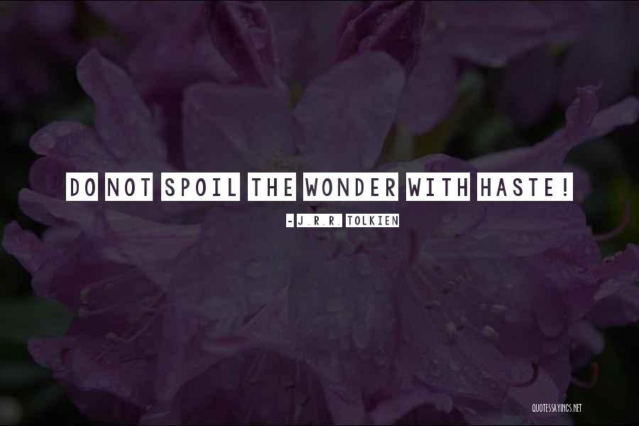Do Not Haste Quotes By J.R.R. Tolkien Do Not Haste Quotes By J.R.R. Tolkien