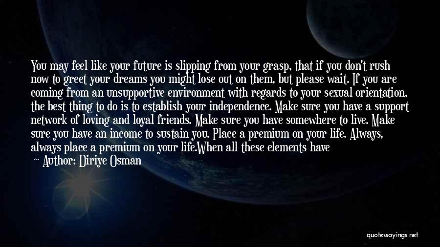 Do Not Live In The Future Quotes By Diriye Osman