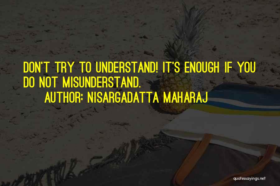 Do Not Misunderstand Quotes By Nisargadatta Maharaj