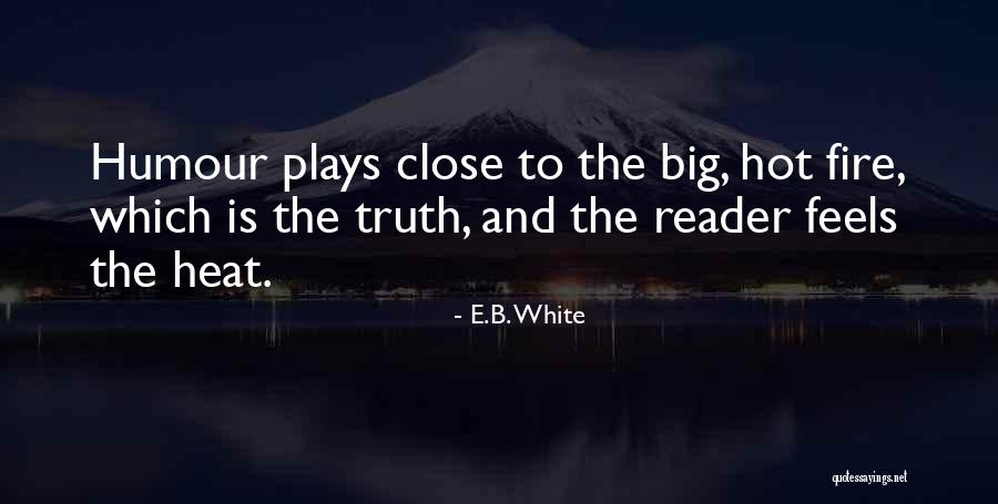 Do Not Play With Fire Quotes By E.B. White