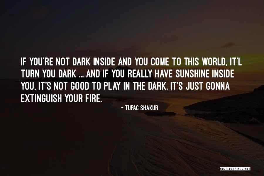 Do Not Play With Fire Quotes By Tupac Shakur