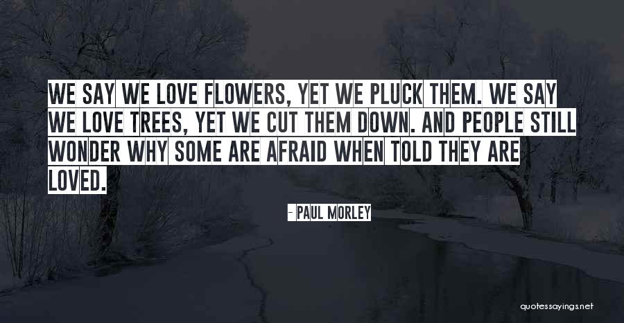 Do Not Pluck Flowers Quotes By Paul Morley