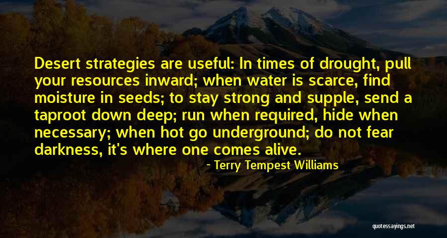 Do Not Pull Quotes By Terry Tempest Williams Do Not Pull Quotes By Terry Tempest Williams
