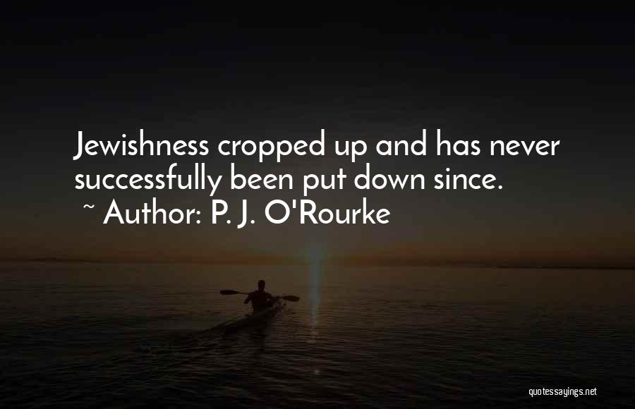 Do Not Put Others Down Quotes By P. J. O'Rourke