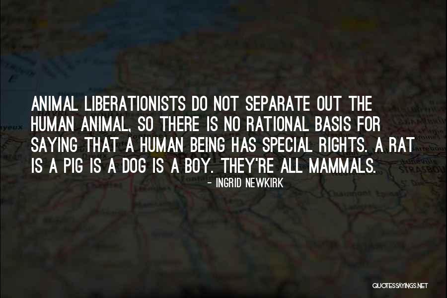 Do Not Separate Quotes By Ingrid Newkirk Do Not Separate Quotes By Ingrid Newkirk