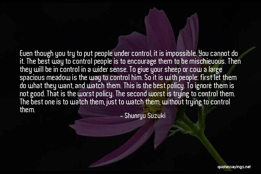 Do Not Try To Be The Best Quotes By Shunryu Suzuki Do Not Try To Be The Best Quotes By Shunryu Suzuki