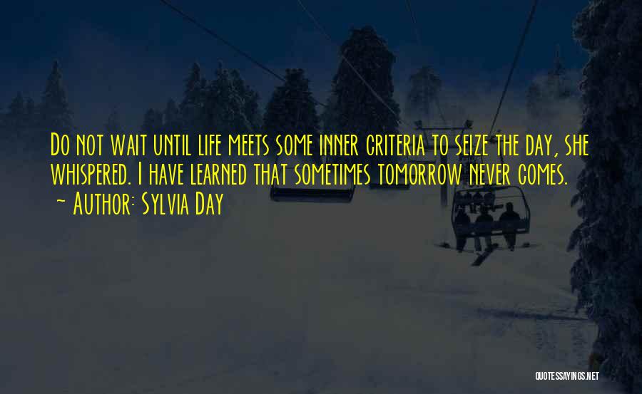 Do Not Wait Until Tomorrow Quotes By Sylvia Day