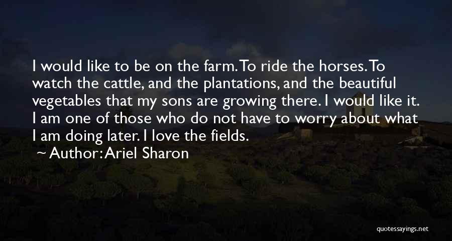 Do Not Worry Love Quotes By Ariel Sharon