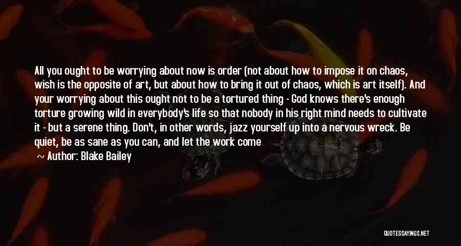 Do Not Worrying Quotes By Blake Bailey