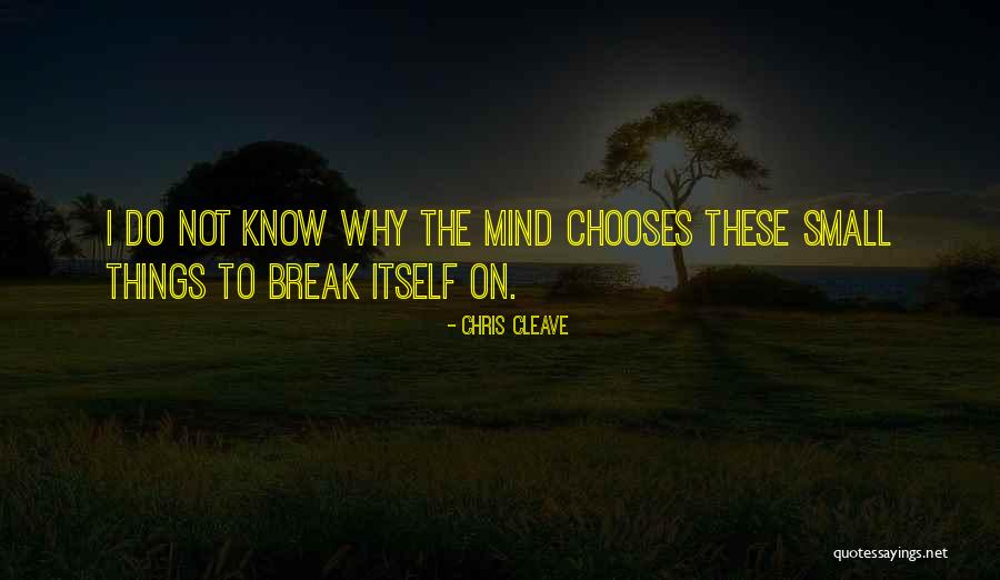 Do Small Things Quotes By Chris Cleave Do Small Things Quotes By Chris Cleave