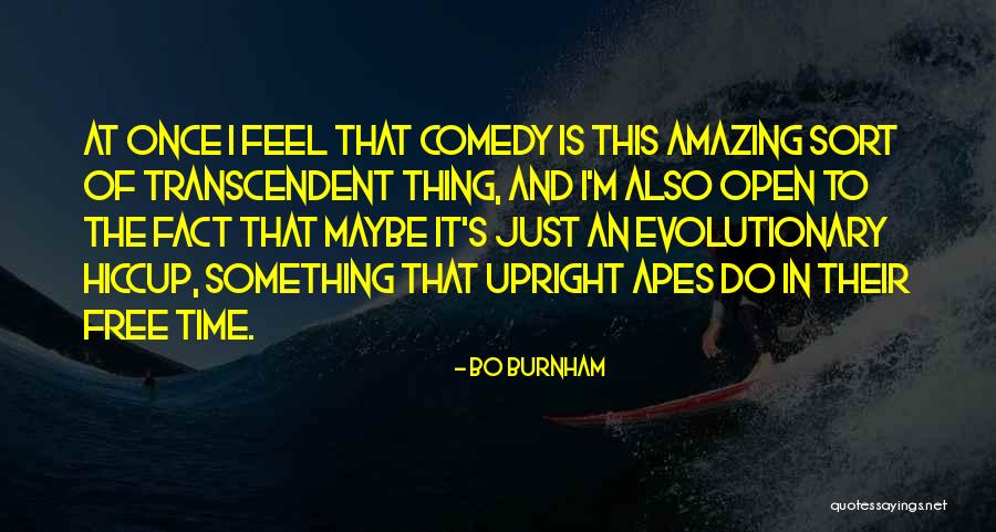 Do Something Amazing Quotes By Bo Burnham