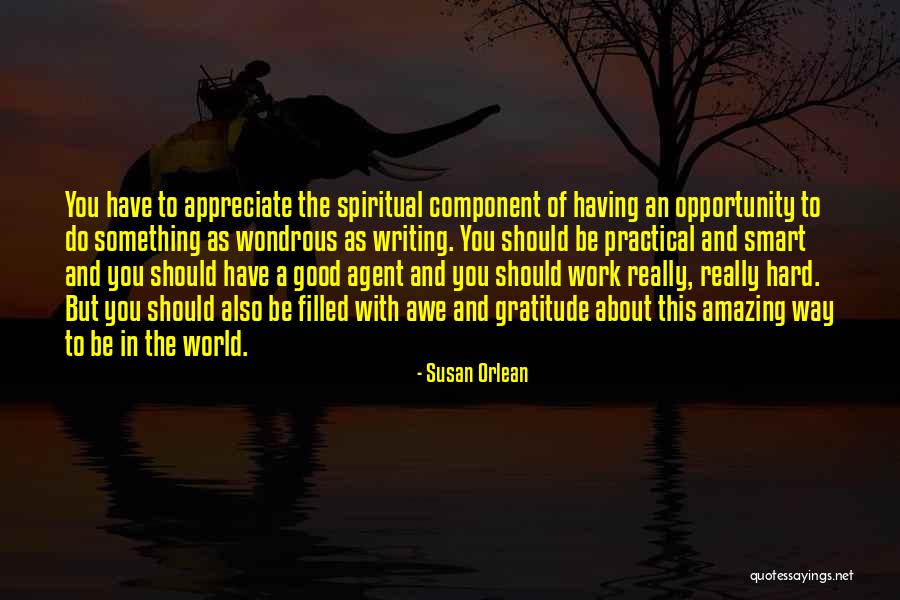 Do Something Amazing Quotes By Susan Orlean