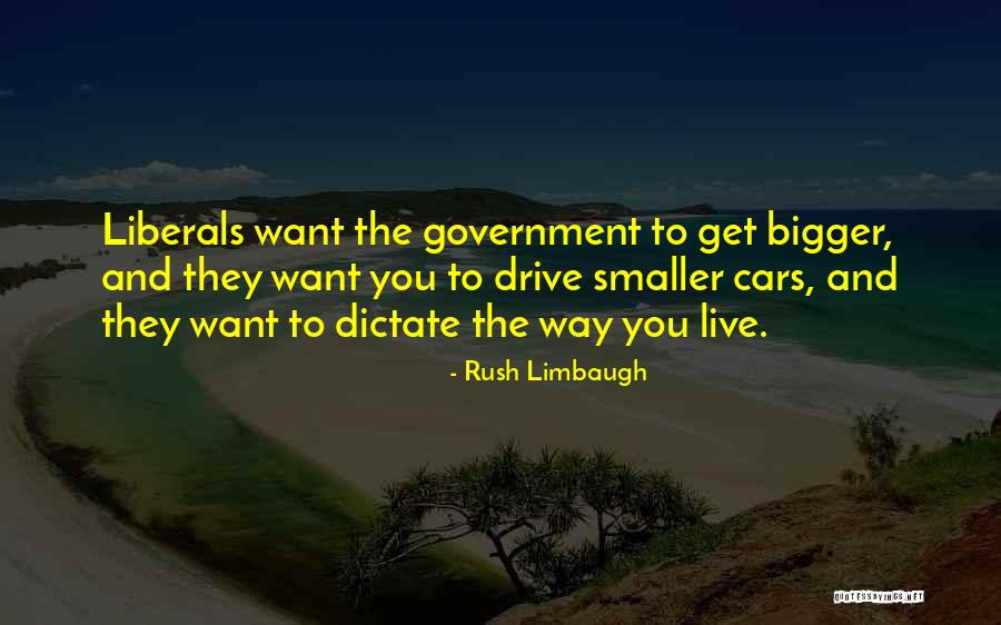 Do Something Bigger Than Yourself Quotes By Rush Limbaugh