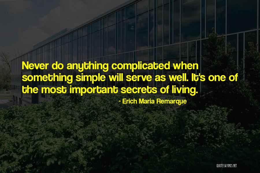 Do Something Important Quotes By Erich Maria Remarque