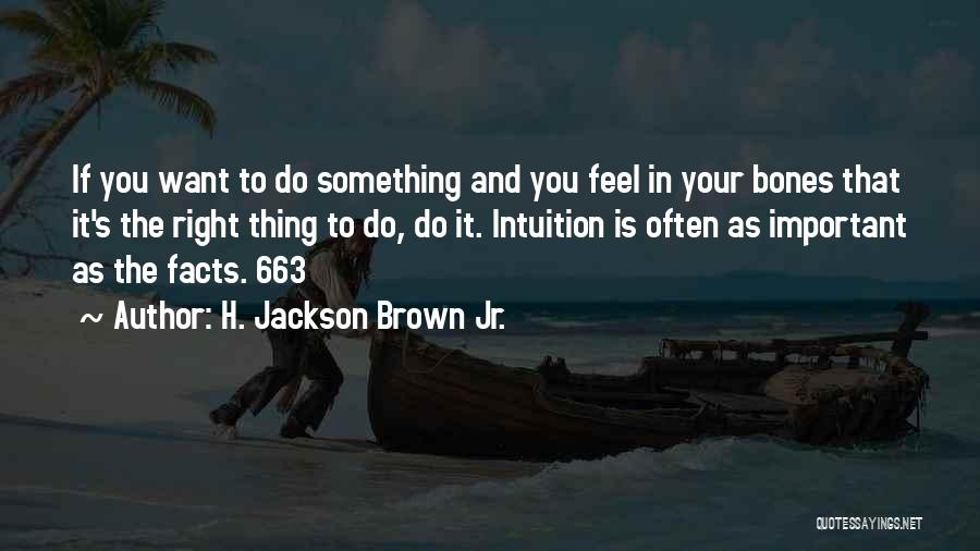 Do Something Important Quotes By H. Jackson Brown Jr.