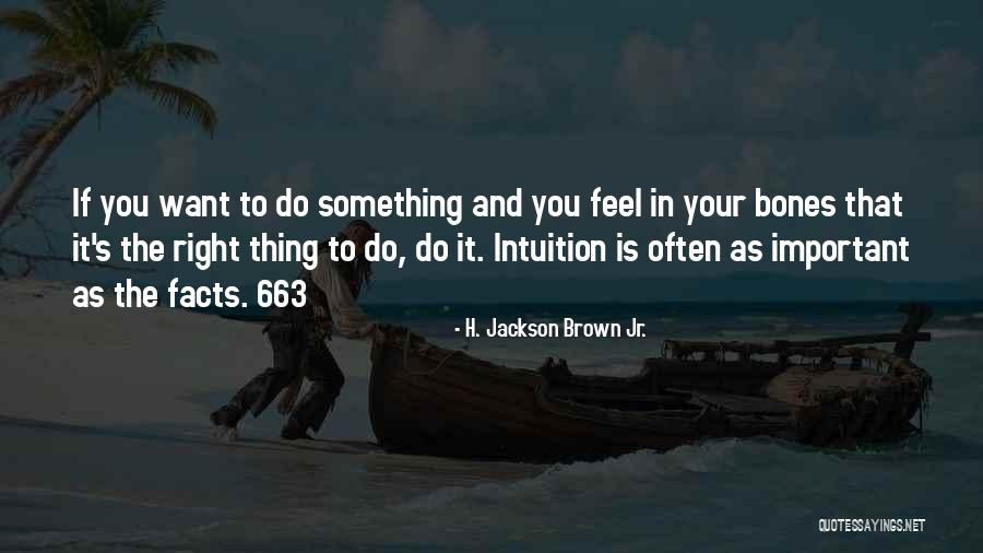 Do Something Important Quotes By H. Jackson Brown Jr.