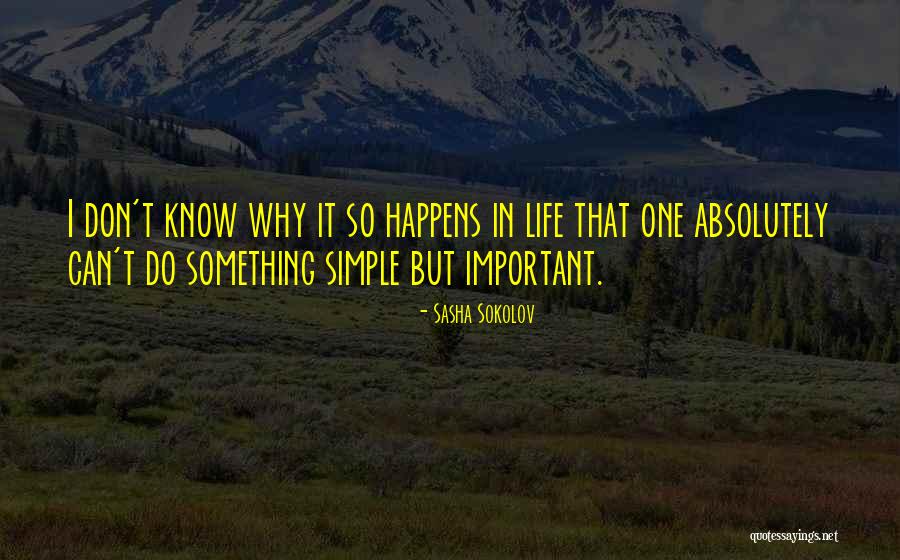 Do Something Important Quotes By Sasha Sokolov