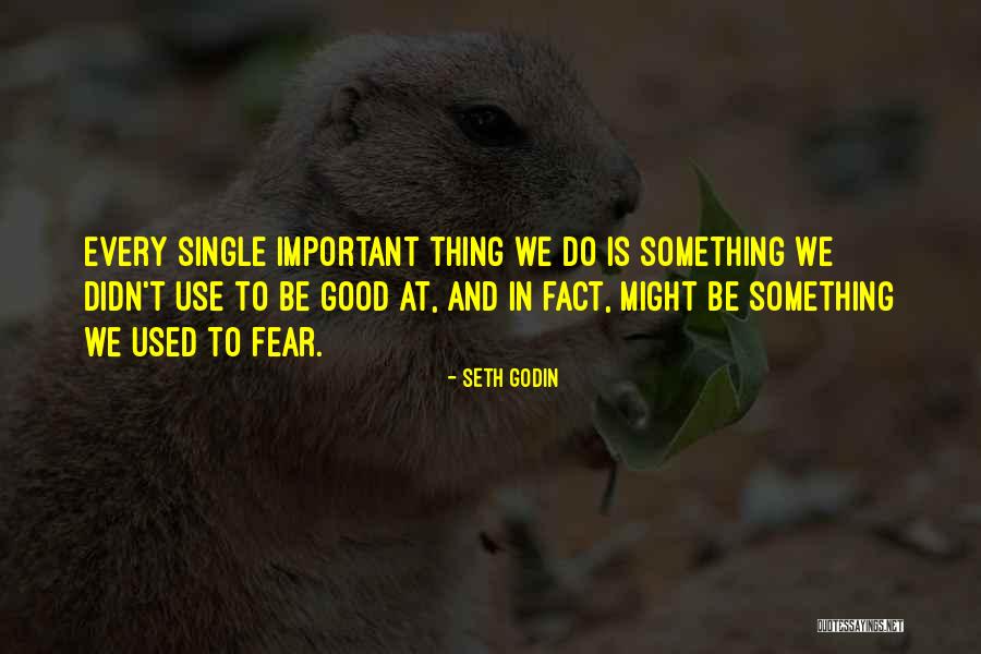 Do Something Important Quotes By Seth Godin