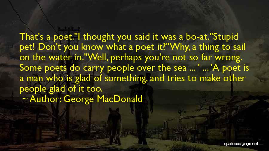 Do Something Stupid Quotes By George MacDonald