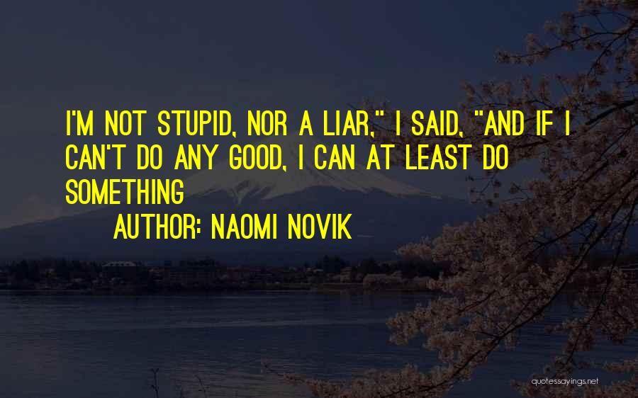 Do Something Stupid Quotes By Naomi Novik