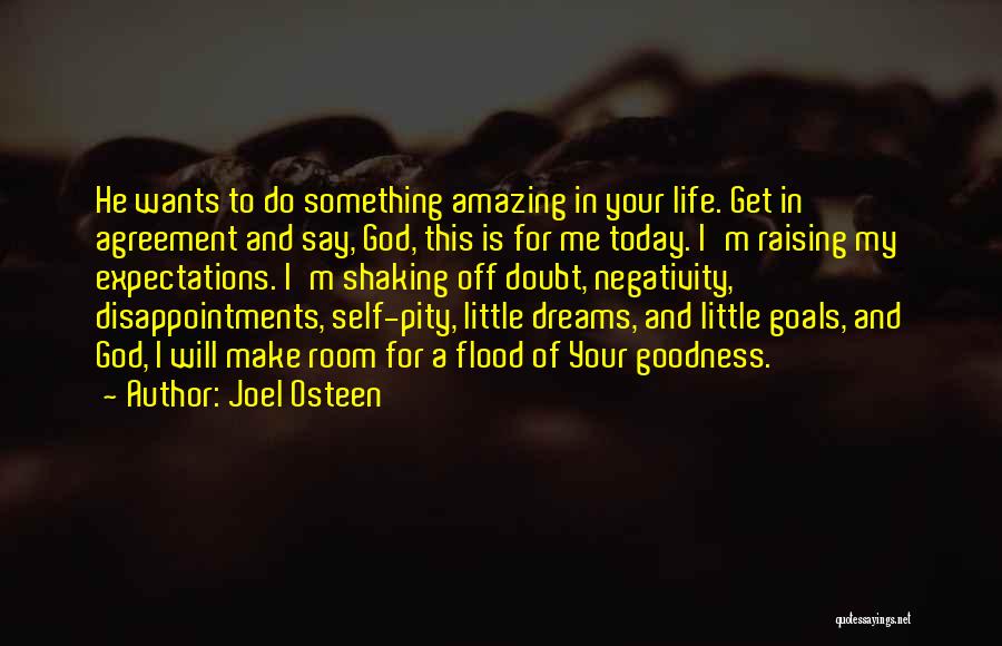 Do Something Today Quotes By Joel Osteen