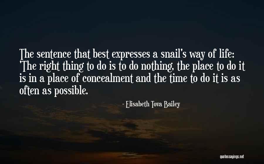 Do The Best Thing Quotes By Elisabeth Tova Bailey Do The Best Thing Quotes By Elisabeth Tova Bailey