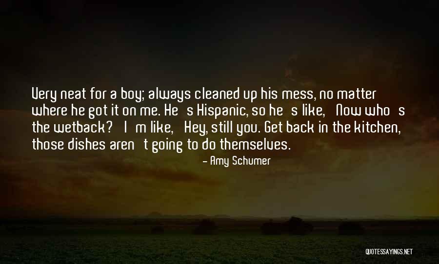 Do The Dishes Quotes By Amy Schumer Do The Dishes Quotes By Amy Schumer