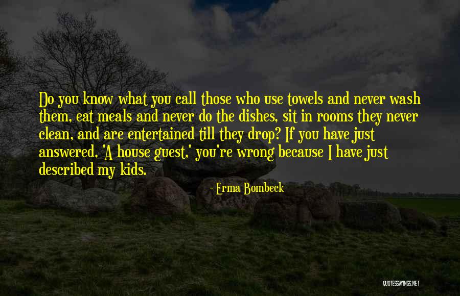 Do The Dishes Quotes By Erma Bombeck Do The Dishes Quotes By Erma Bombeck
