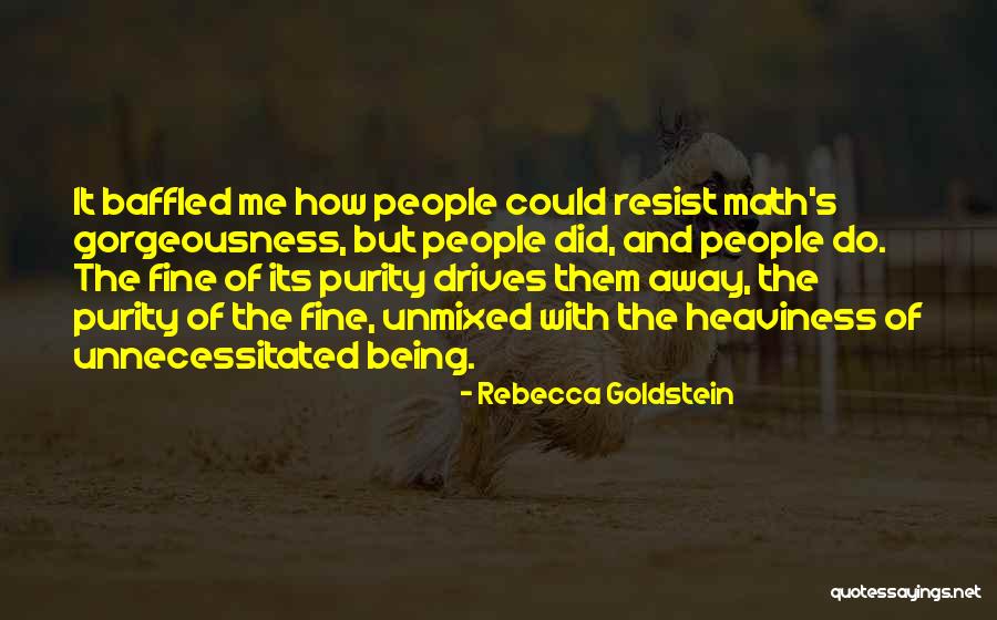 Do The Math Quotes By Rebecca Goldstein