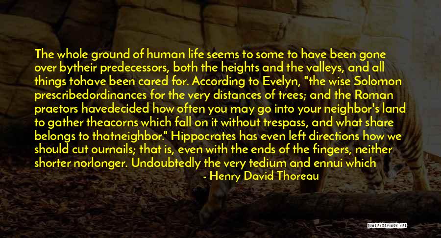 Do The Undone Quotes By Henry David Thoreau Do The Undone Quotes By Henry David Thoreau