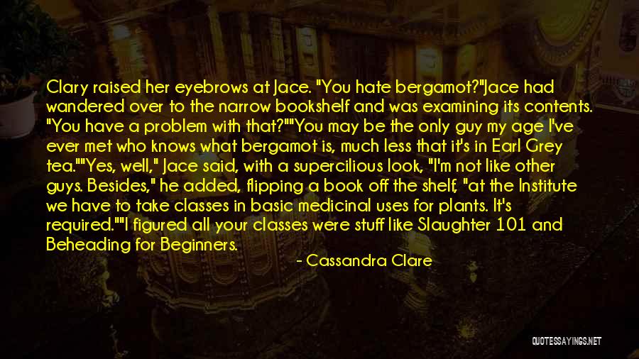 Do U Hate Me Quotes By Cassandra Clare