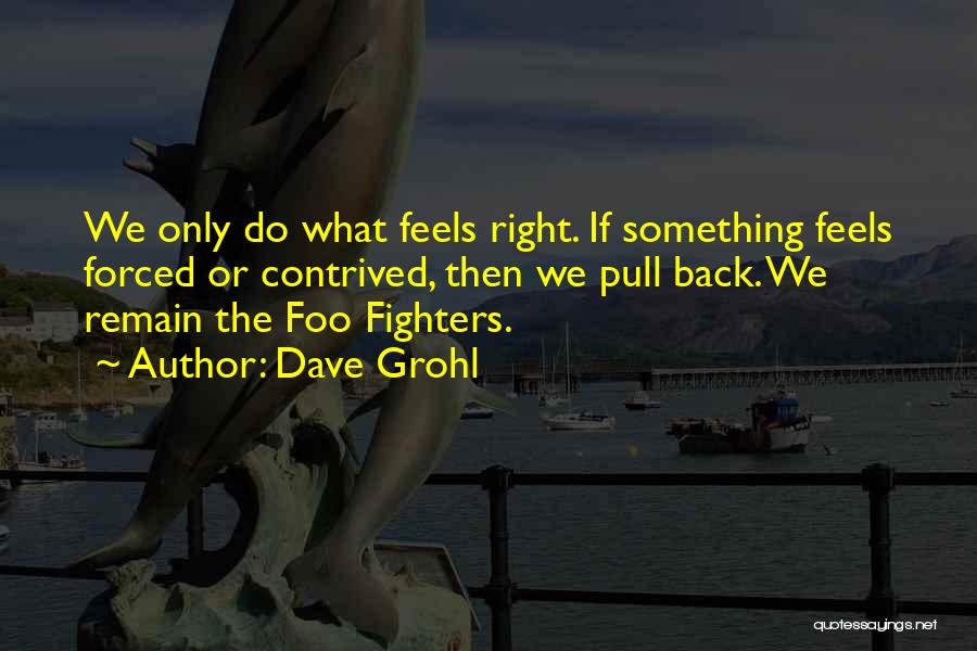 Do What Feels Right Quotes By Dave Grohl