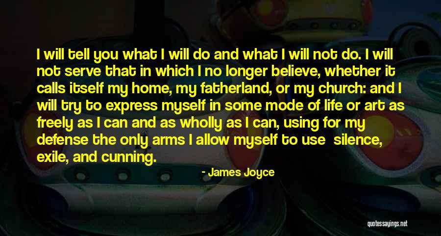 Do What You Believe Quotes By James Joyce