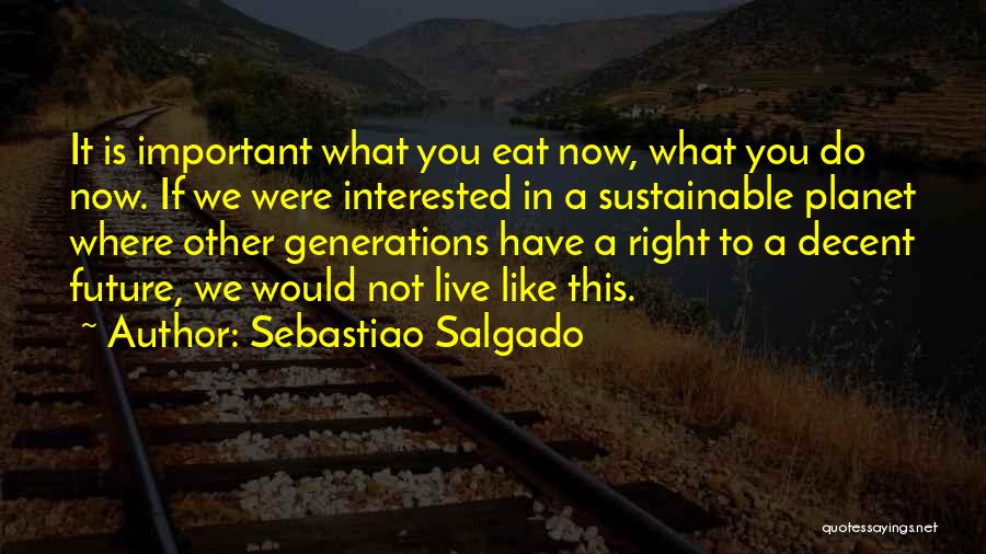 Do What You Have To Do Now Quotes By Sebastiao Salgado