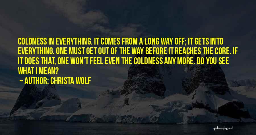 Do What You Mean Quotes By Christa Wolf