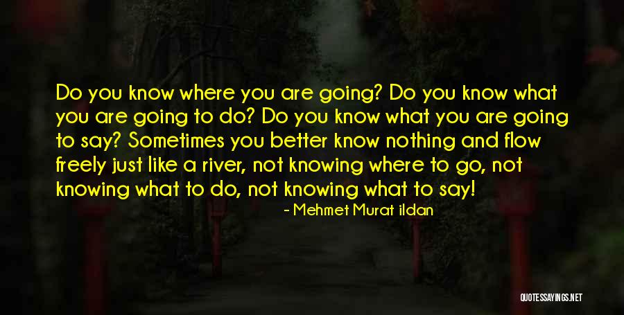 Do What You Say You Are Going To Do Quotes By Mehmet Murat Ildan Do What You Say You Are Going To Do Quotes By Mehmet Murat Ildan