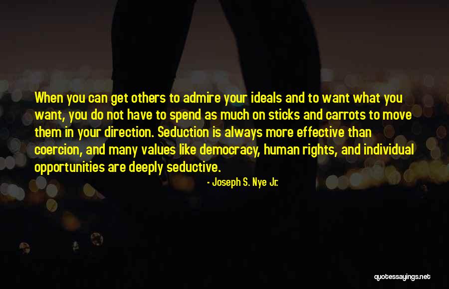 Do What You Want Not What Others Want Quotes By Joseph S. Nye Jr.