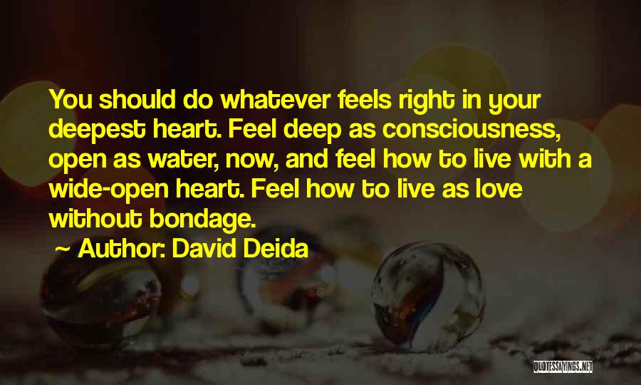 Do Whatever Feels Right Quotes By David Deida