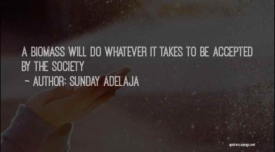 Do Whatever It Takes Quotes By Sunday Adelaja
